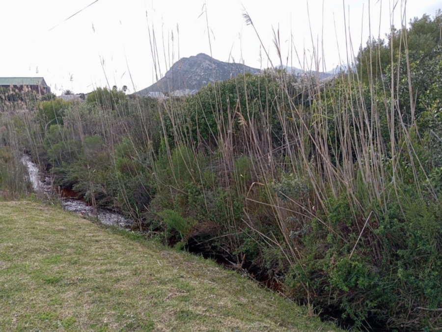 0 Bedroom Property for Sale in Pringle Bay Western Cape